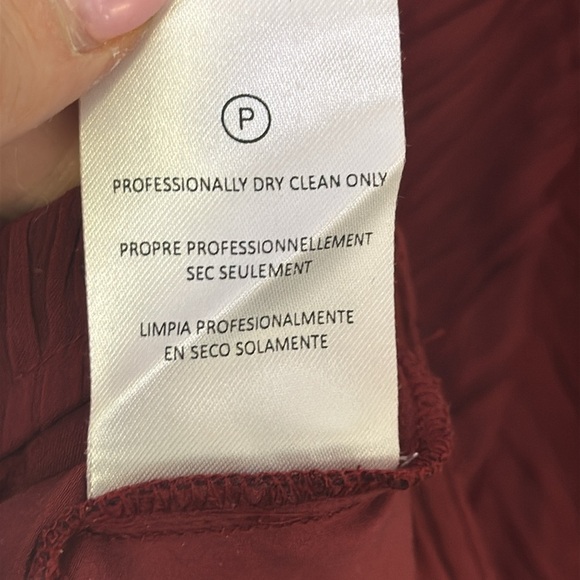 NWOT Anthropologie Wine Dress with Long Bishop Sleeves - Picture 13 of 14